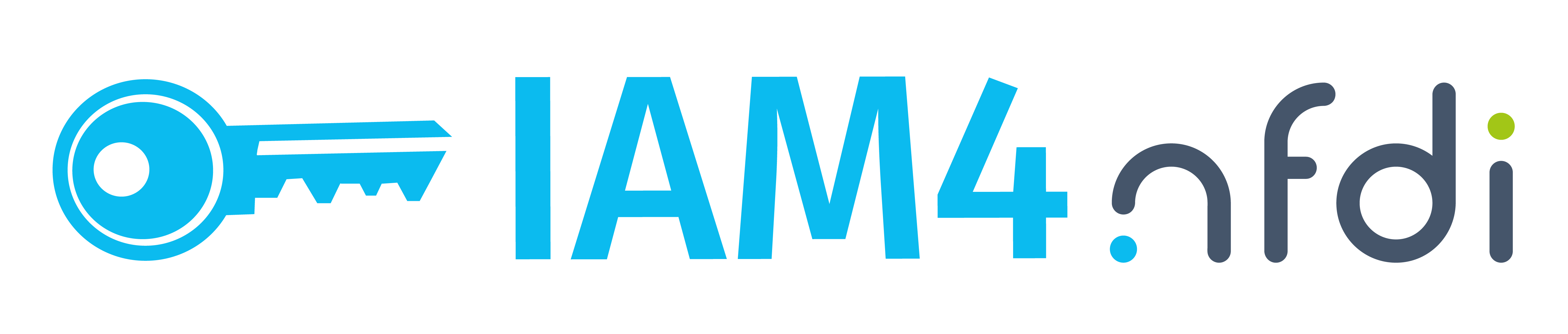 IAM4NFDI